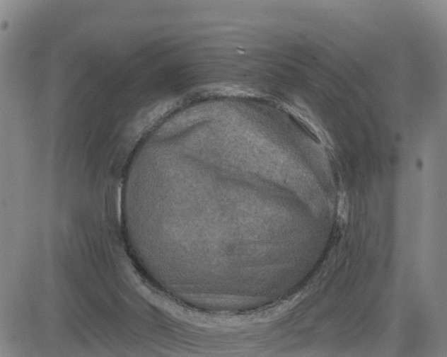 X0000080690014200612301501