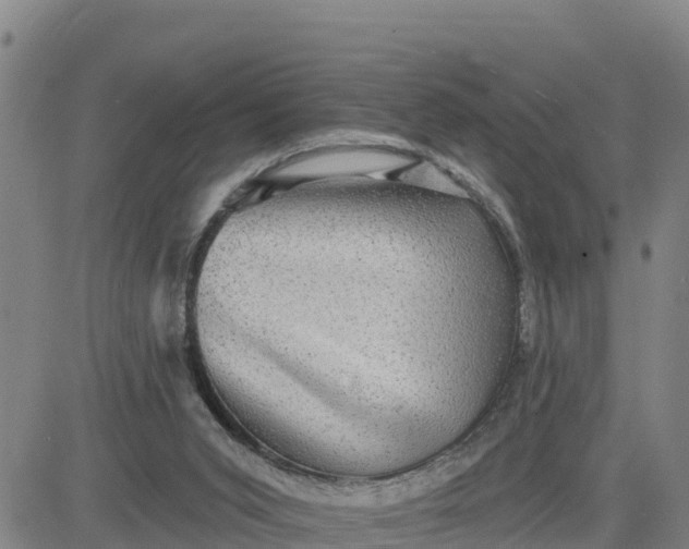 X0000080690015200612301501