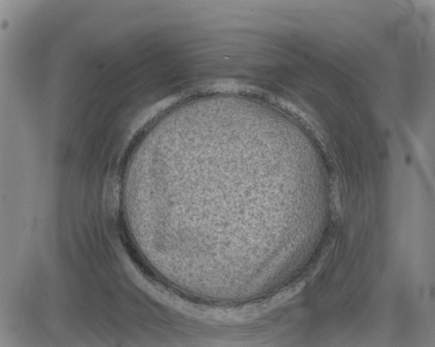 X0000080690016200612301501