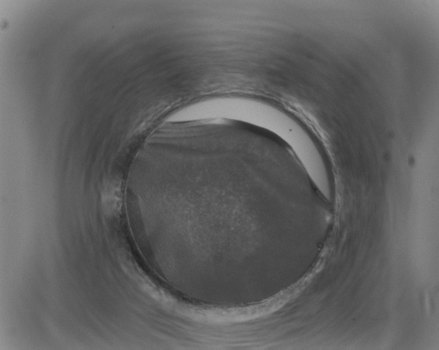 X0000080690017200612301501