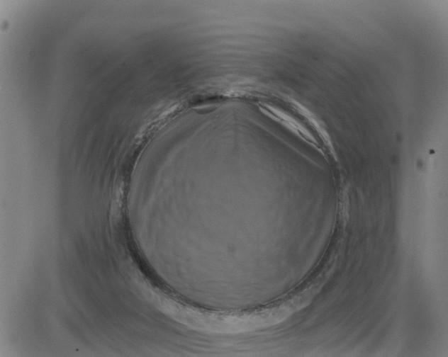 X0000080690018200612301501