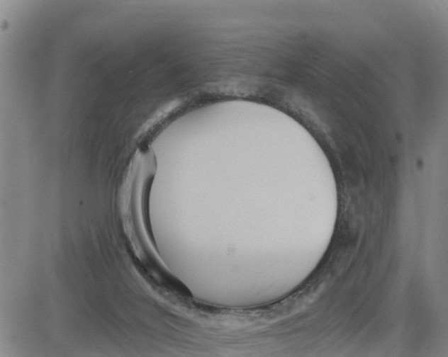 X0000080690020200612301501