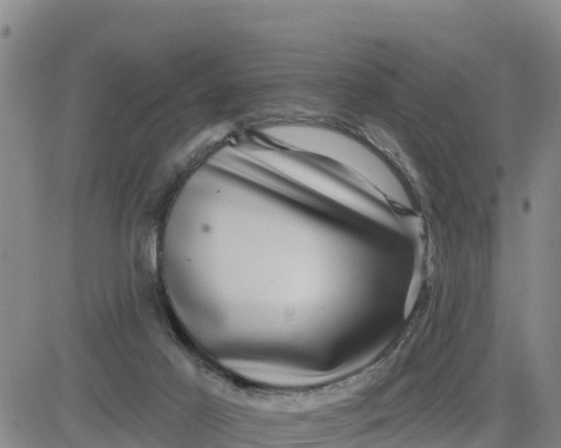 X0000080690021200612301500