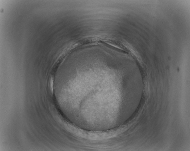 X0000080690022200612301500