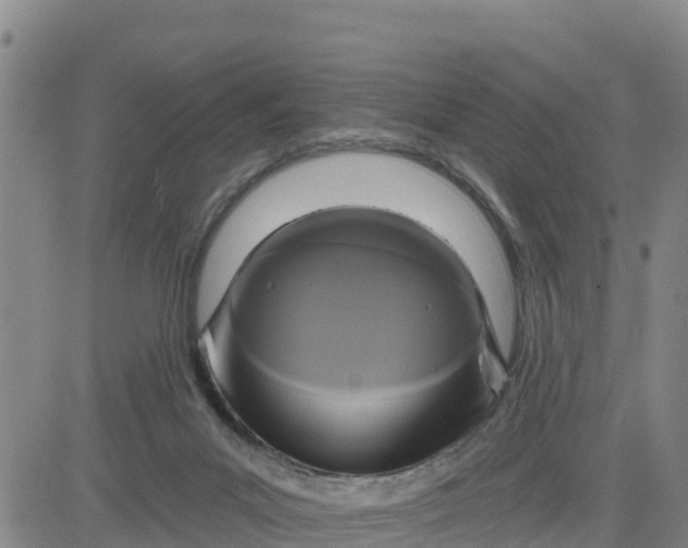 X0000080690023200612301500