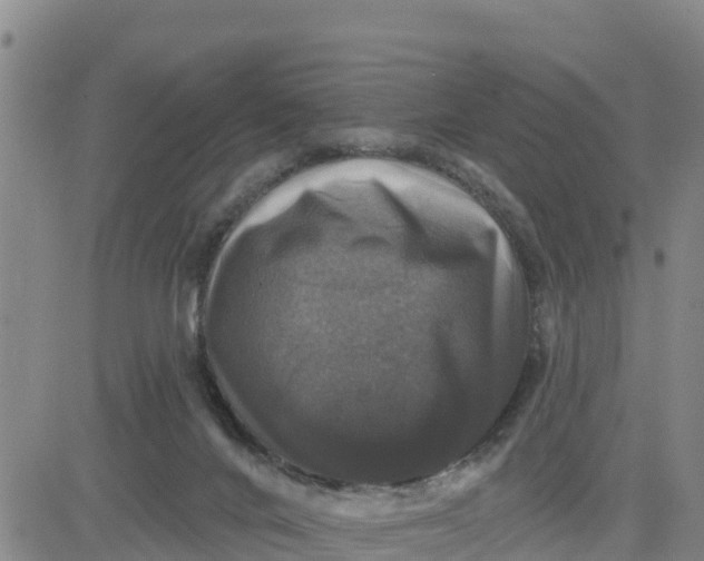 X0000080690024200612301500