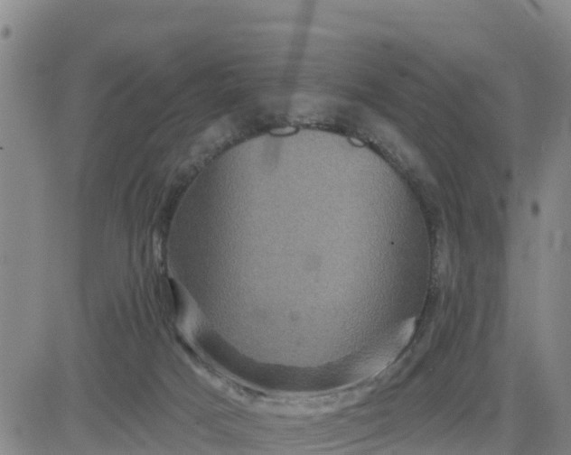 X0000080690025200612301500