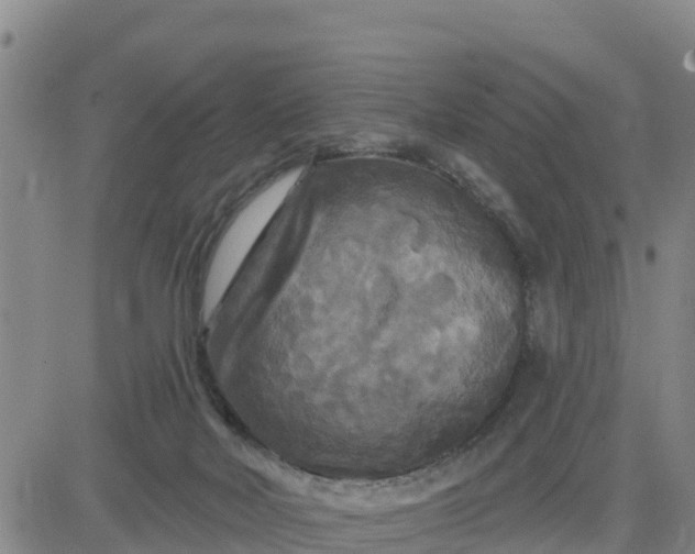 X0000080690026200612301500