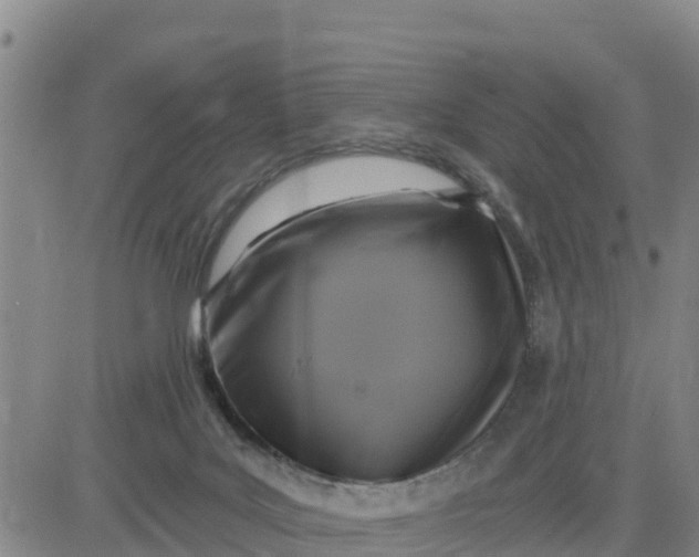 X0000080690027200612301500