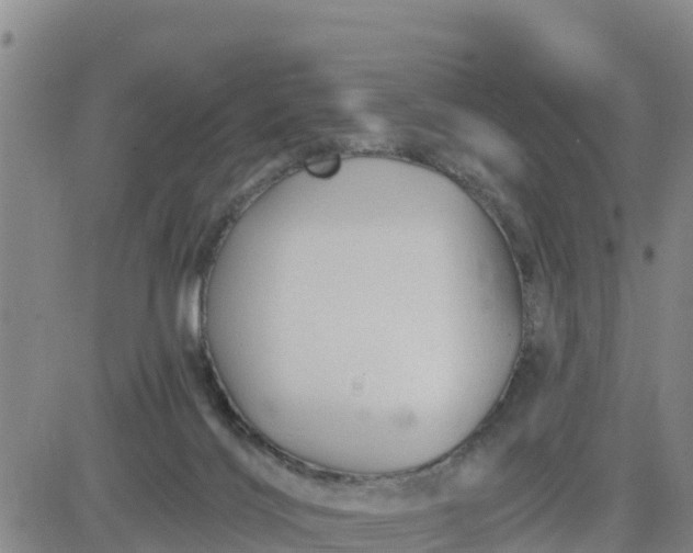 X0000080690028200612301500