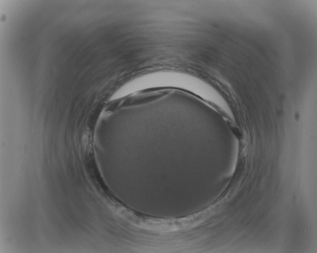 X0000080690029200612301500