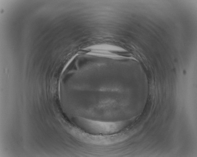 X0000080690030200612301500