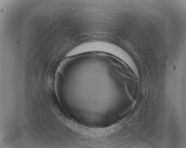 X0000080690031200612301500