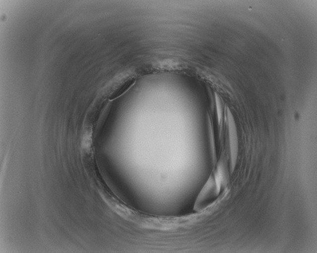 X0000080690033200612301500