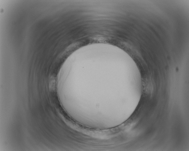 X0000080690036200612301500