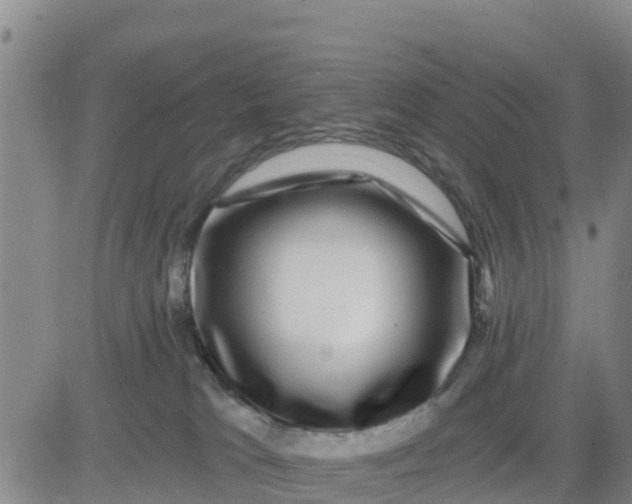 X0000080690037200612301500