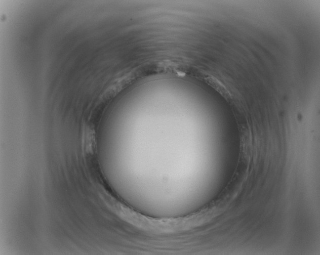 X0000080690038200612301500