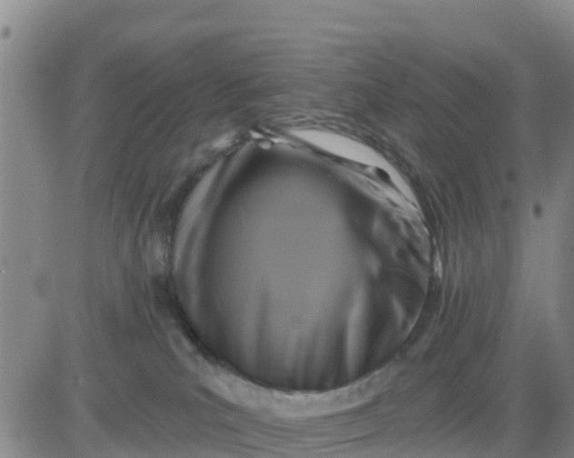 X0000080690039200612301500