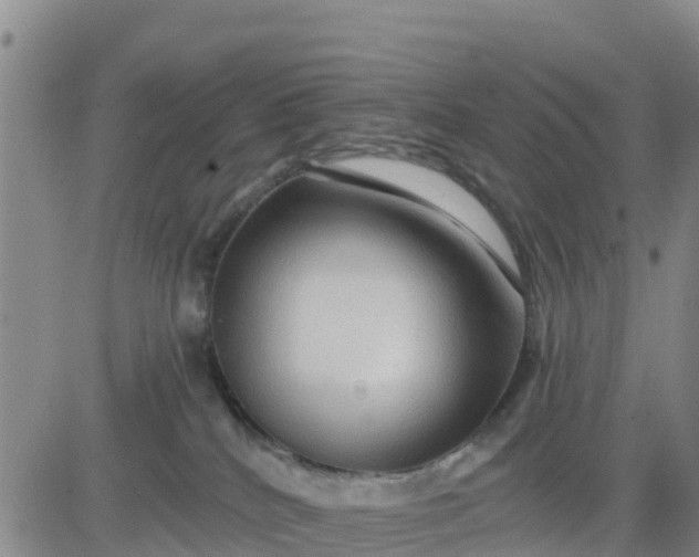 X0000080690040200612301500