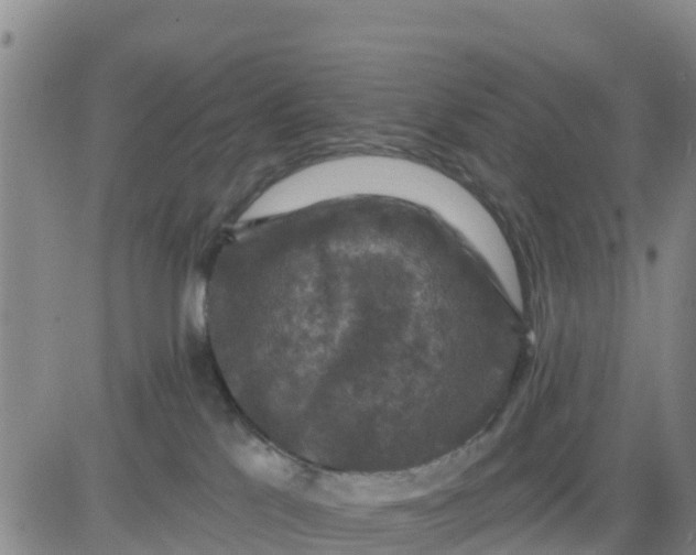 X0000080690041200612301500