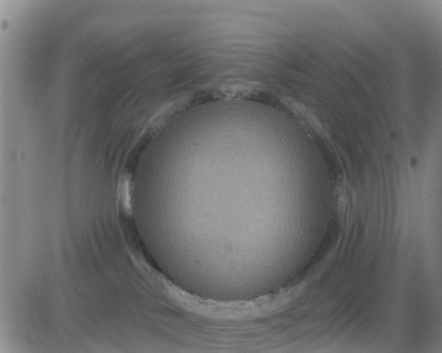 X0000080690042200612301500