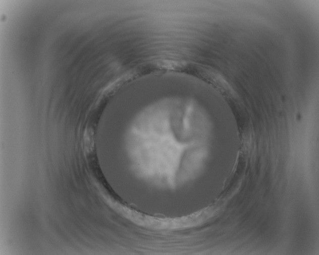 X0000080690043200612301500