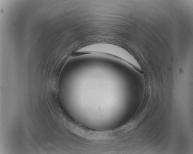 X0000080690044200612301500