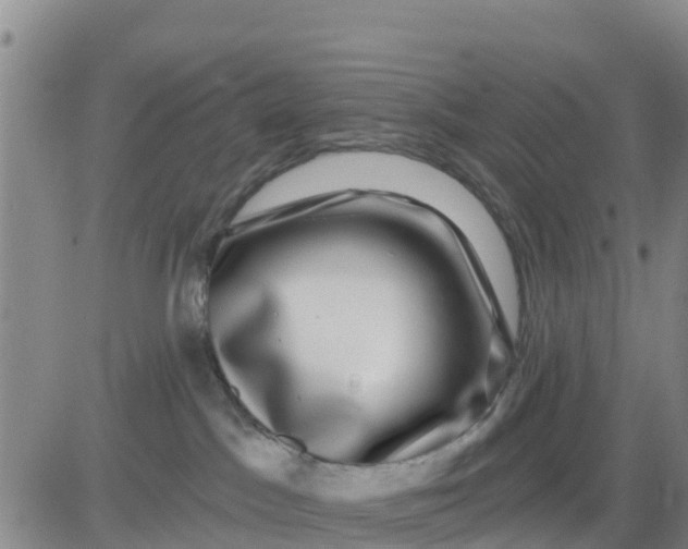 X0000080690045200612301500