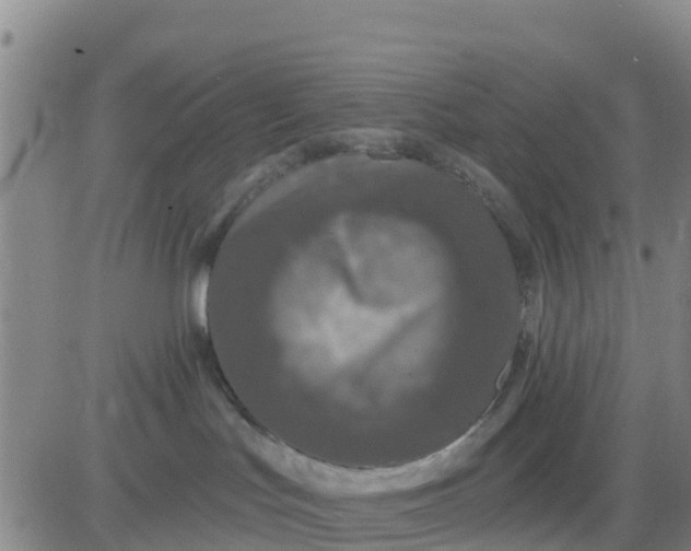 X0000080690047200612301500