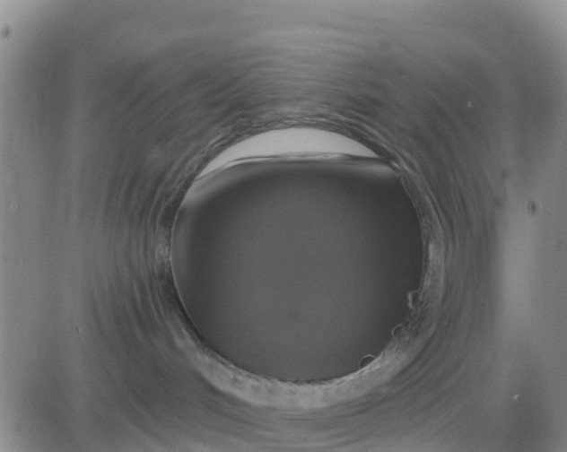 X0000080690048200612301500