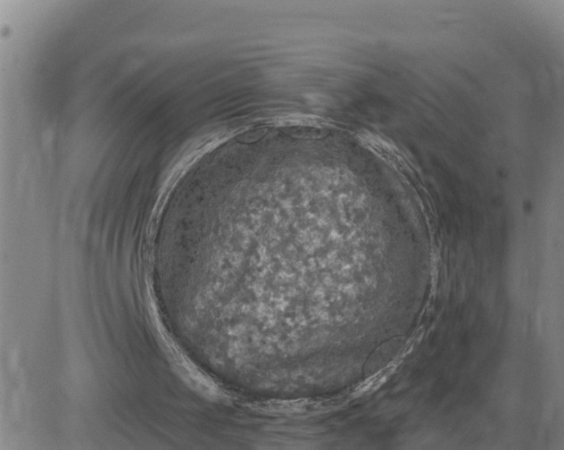 X0000080690049200612301459