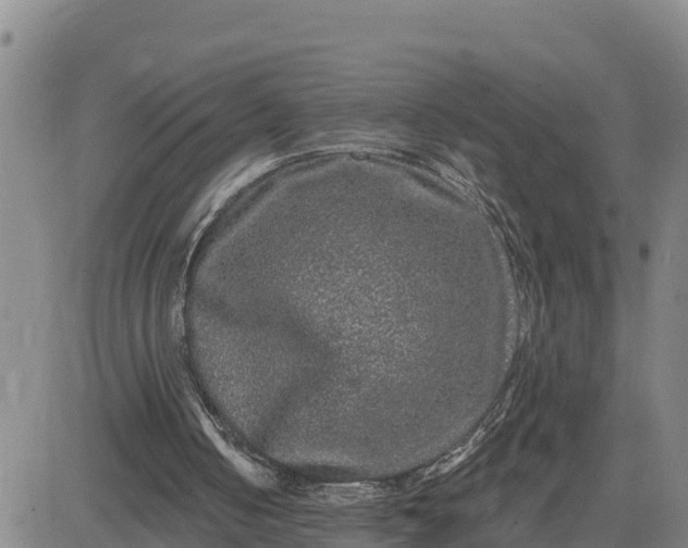 X0000080690050200612301459