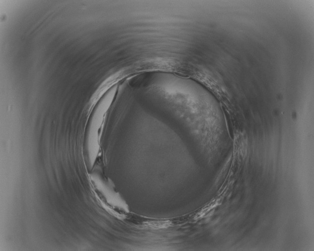 X0000080690051200612301459