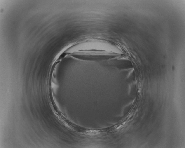 X0000080690052200612301459