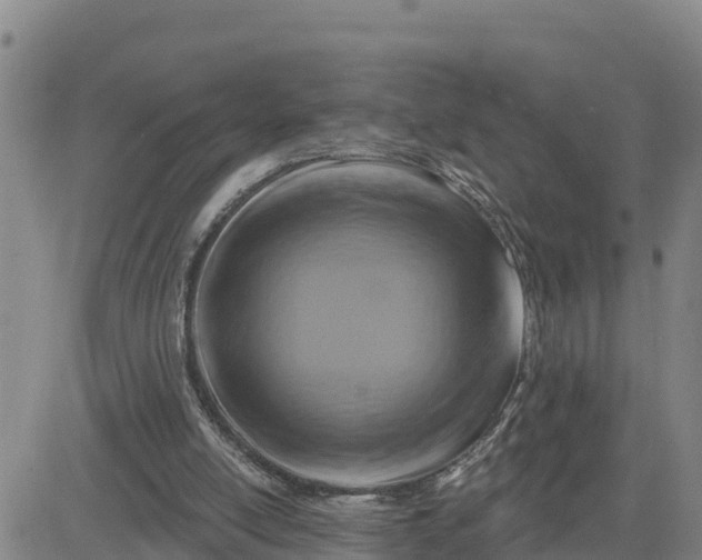 X0000080690054200612301459