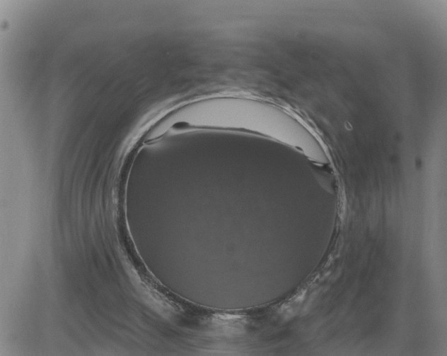 X0000080690055200612301459