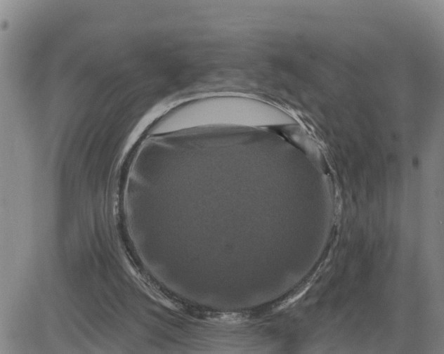 X0000080690056200612301459