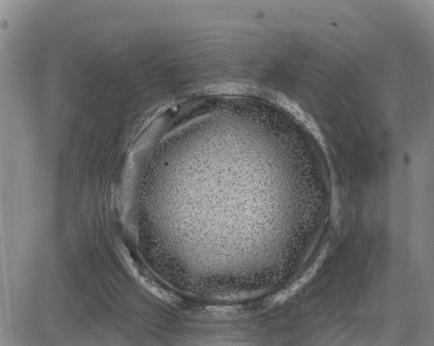 X0000080690057200612301459