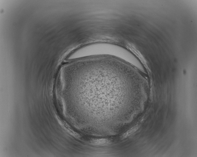 X0000080690058200612301459