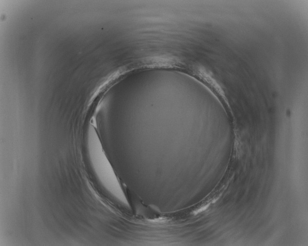 X0000080690059200612301459