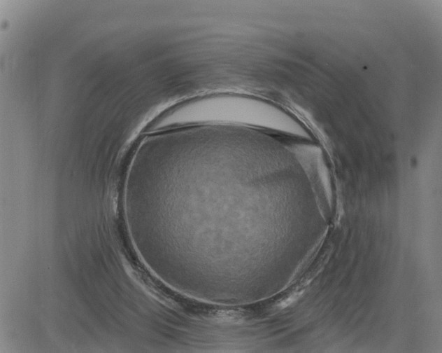 X0000080690060200612301459