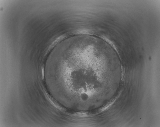 X0000080690061200612301459