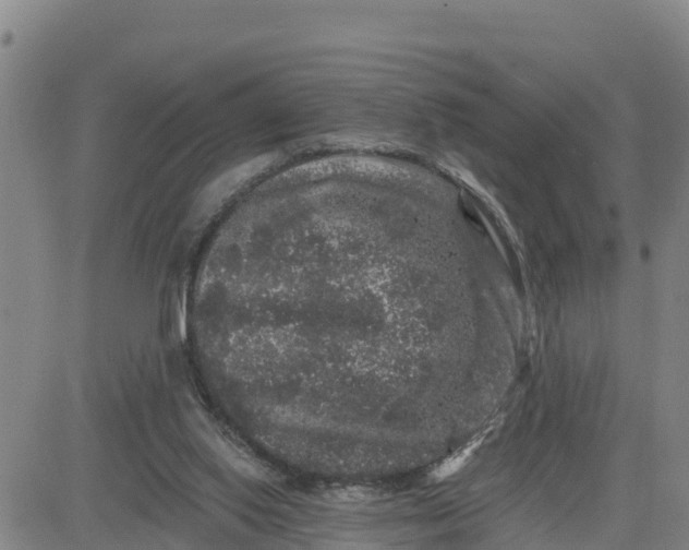 X0000080690062200612301500