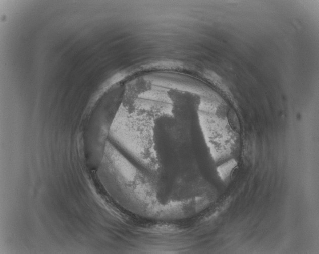 X0000080690063200612301500