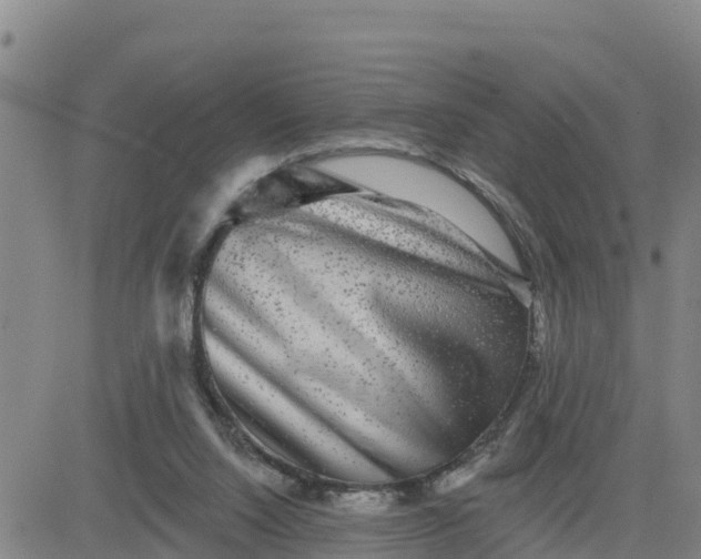 X0000080690064200612301500