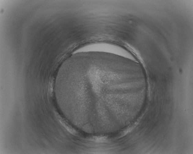 X0000080690065200612301500