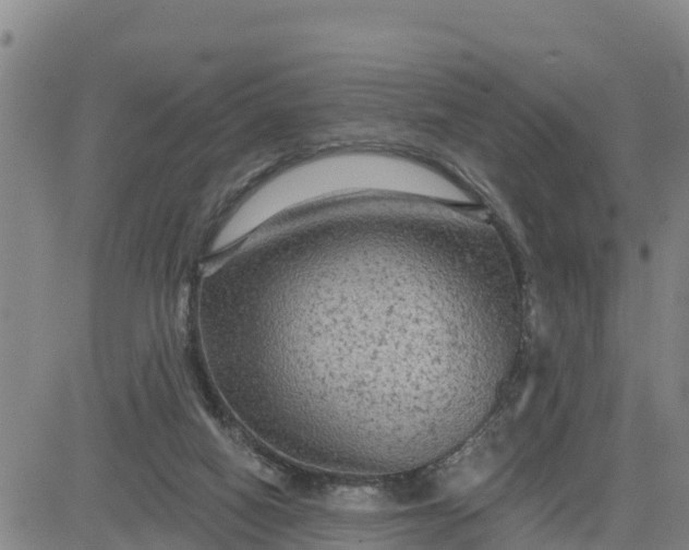 X0000080690066200612301500