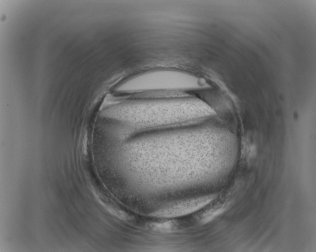 X0000080690068200612301500