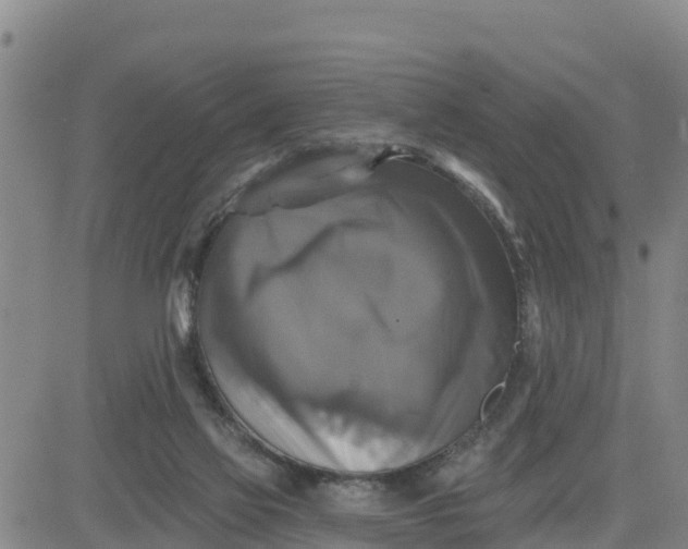 X0000080690069200612301500