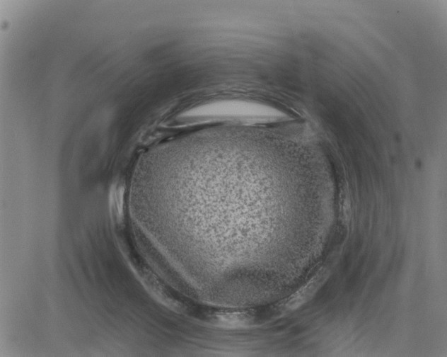 X0000080690070200612301500